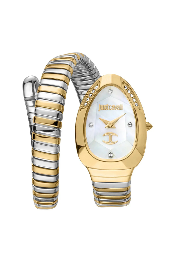 Just Cavalli Women's Watch JC1L229M0065