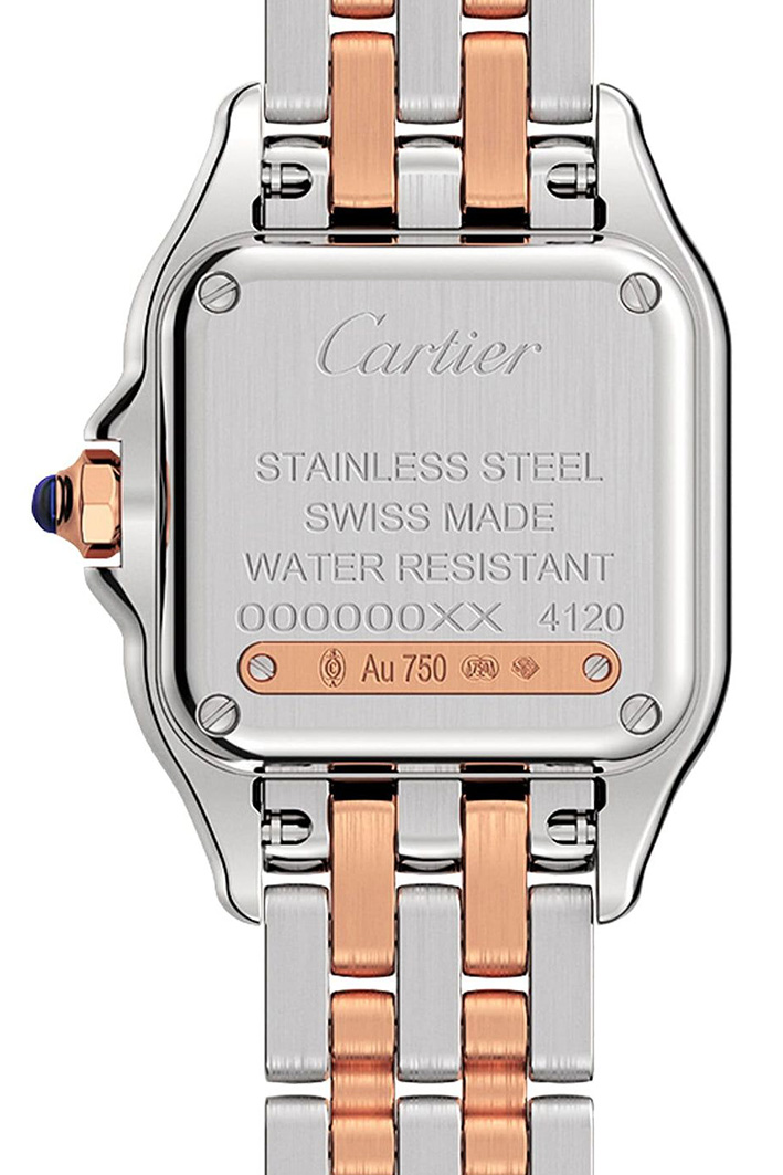 Cartier Panthère de Cartier Small - Image 2